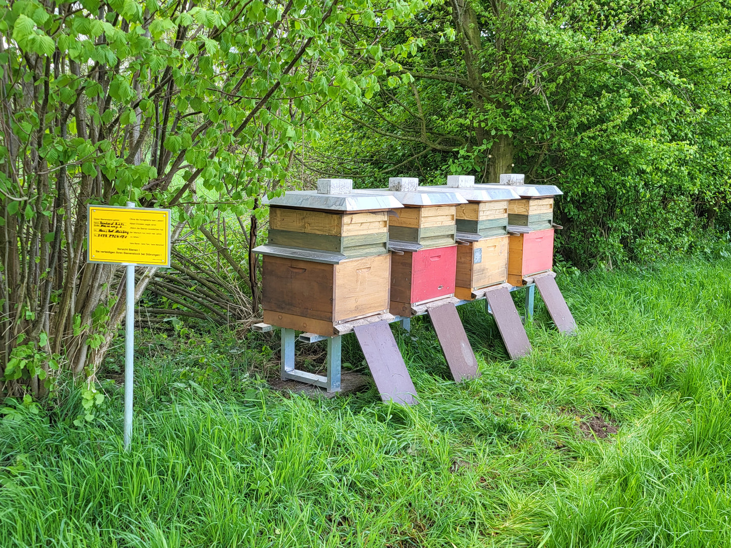 Naturreiner Bienen-Honig gesammelt in den blühenden Frühlingswiesen an den Emmerauen von Bienenvolk Erna 250g