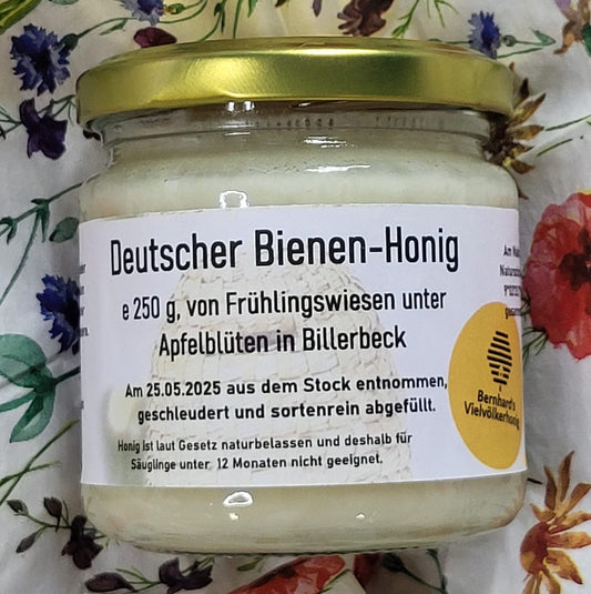Naturreiner Bienen-Honig von Frühlingswiesen unter Apfelbäumen in Billerbeck 250g