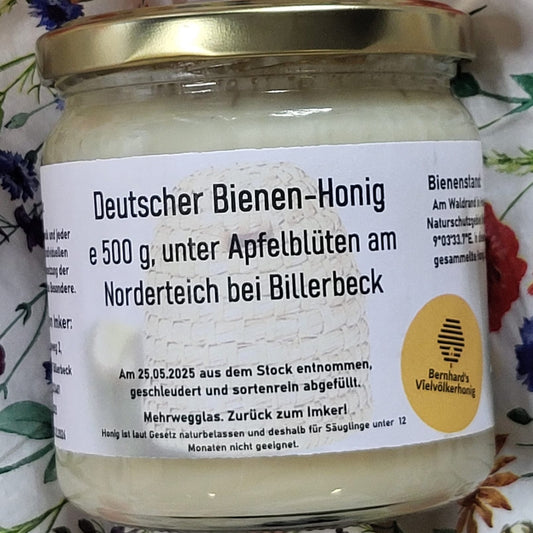 Naturreiner Bienen-Honig unter Apfelblüten am Norderteich bei Billerbeck 500g