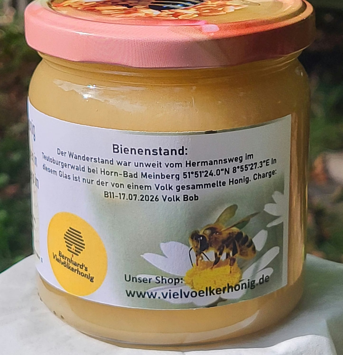 Naturreiner Honig von Brombeerblüten in der Nähe des Hermannswegs im Teutoburger Wald 500g