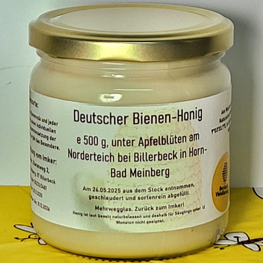 Naturreiner Bienen-Honig gesammelt unter Apfelblüten am Norderteich bei Billerbeck in Horn-Bad Meinberg 500g